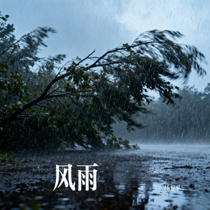 风雨