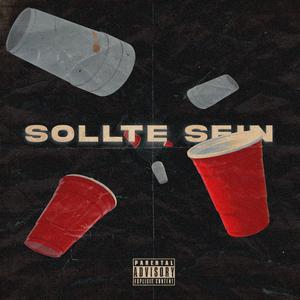 Sollte sein (feat. TRACE)