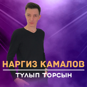 Тулып торсын