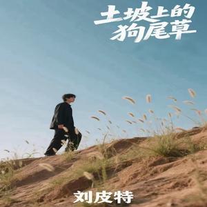 土坡上的狗尾草