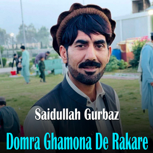 Yao Me Zargye Bal Me Lali Lewani De