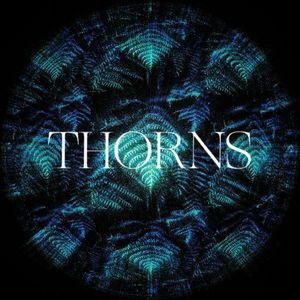 THORNS 【beat】