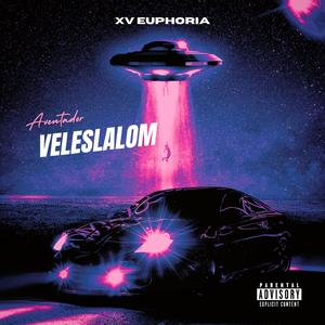 Veleslalom