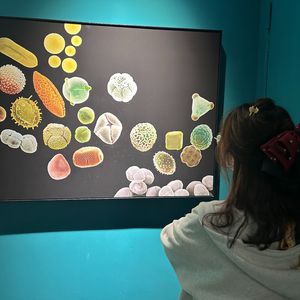 忘记拥抱（cover A-lin）