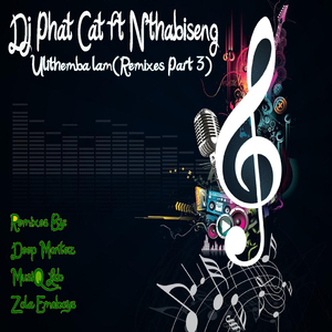 Ulithemba lam (feat. Nthabiseng) (MusiQ Lab Remix)