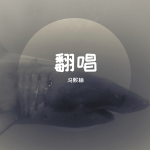 Alone（Cover Alan Walker）