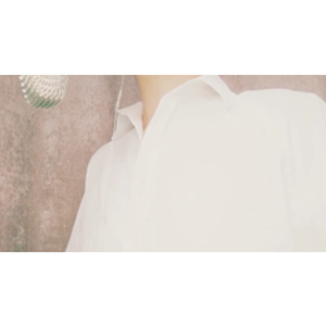 ハレハレヤ(朗朗晴天)（翻自 v flower）