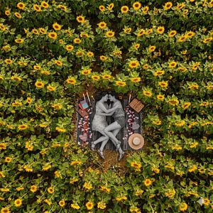 Quererte en Silencio