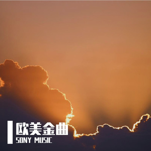 YMCA 特朗普之歌（SONY MUSIC remix）