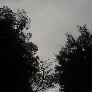 When She Found the Snow