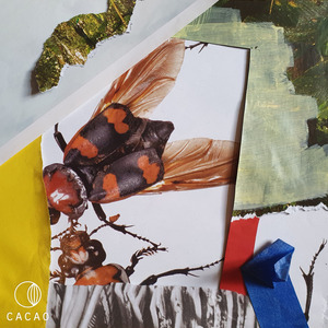 Butundaile (Instrumental)