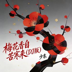 梅花香自苦寒来（DJ版）