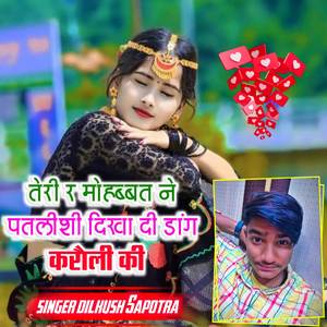 तेरी र मोहब्बत ने पतलीशी दिखा दी डांग करौली की