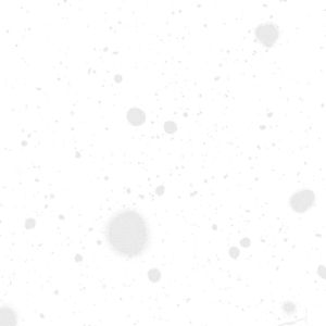 ii