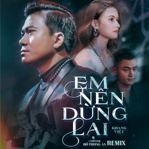 Em Nên Dừng Lại (Lofi by Dinh Long)