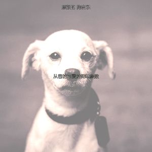 柔和的可爱的狗时刻