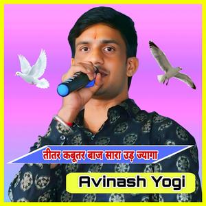 तीतर कबूतर बाज सारा उड़ ज्यागा