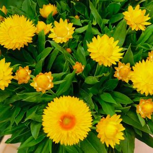 我的青春主场（1218+旋律学唱）