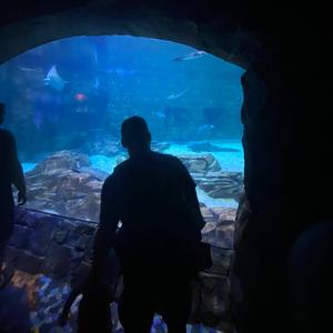 ceiling fan lullaby (feat. ragnerei)