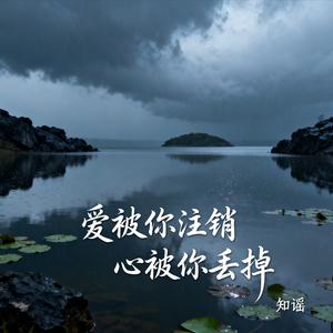 爱被你注销心被你丢掉