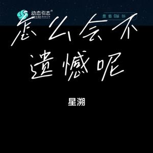 怎么会不遗憾呢 (释怀版)