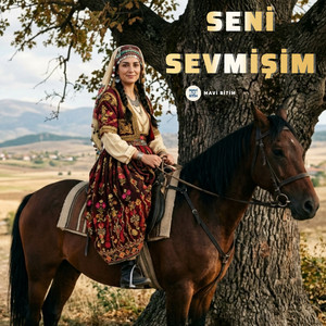 Seni Sevmişim