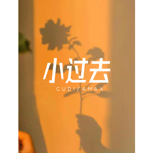 小过去