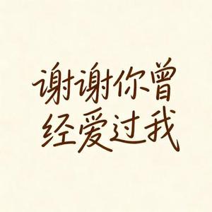 谢谢你曾经爱过我 (Remix)