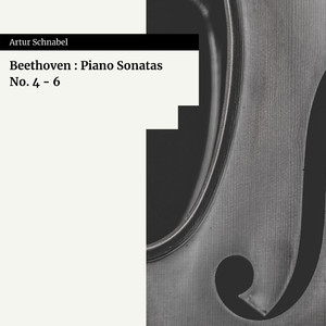 Piano Sonata No. 4, In E Flat MInor, Op. 7 : IV. Rondo, Poco Allegretto E Grazioso