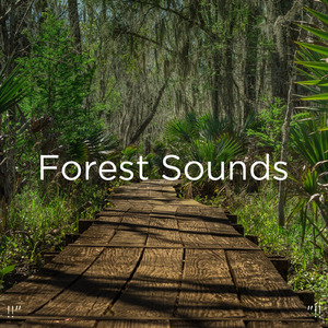 수면을위한 바다의 소리