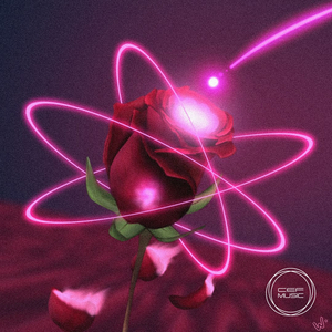 Como Una Rosa Marchitarse