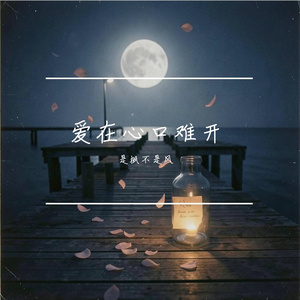 爱在心口难开
