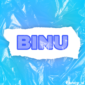 비누(BINU)