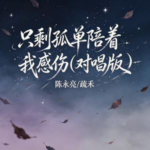 只剩孤单陪着我感伤（对唱版）