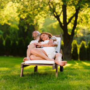 Nature Twilight Birds Symphony