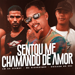 Sentou Me Chamando de Amor