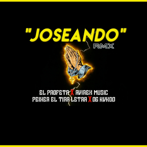 Joseando Dinero (feat. El Profeta RD, Og Nvndo & Peiker El Tira Letras) (Remix)
