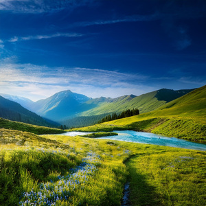 Tonos De Solidaridad