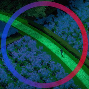 The Groove of Branding