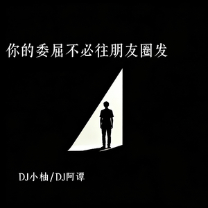 你的委屈不必往朋友圈发(DJ版)