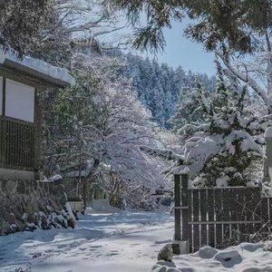 无形抓不住的手