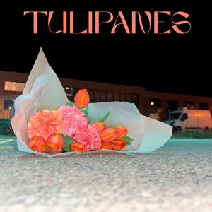 TULIPANES