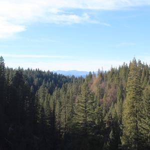 Hobo Astronaut Girlfriend (feat. peaches)