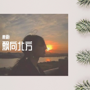 飘向北方