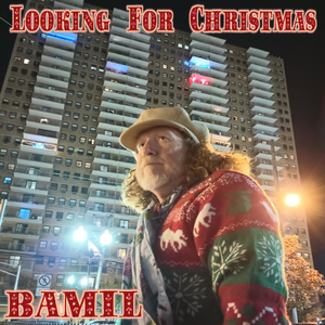 Looking for Christmas