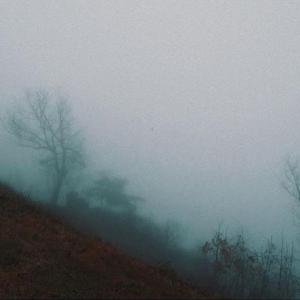 君の脈で踊りたかった（翻自 ピコン）