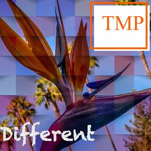 Different (feat. Lander)