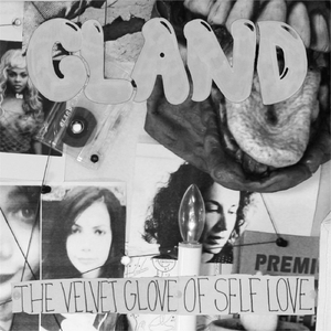 The Velvet Glove of Self Love