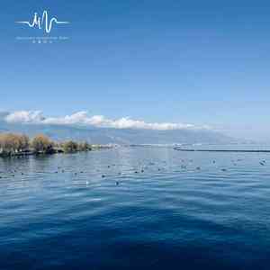 春之思绪 (钢琴曲)