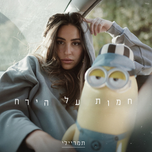 חמות על הירח